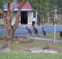 31 The Rocks - Tourism Townsville