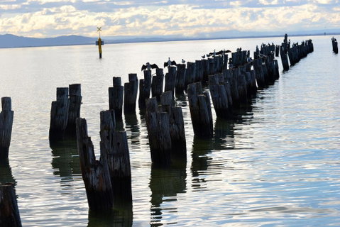 323 On Jetty - Tourism Townsville 2
