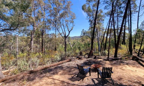 Echidna Ridge By Tiny Away - Tourism Townsville 1