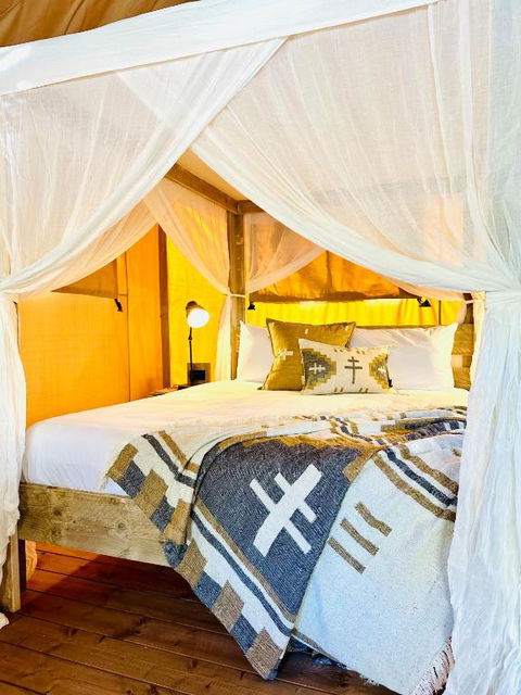 Esk Luxury Glamping Tents - Tourism Townsville 4