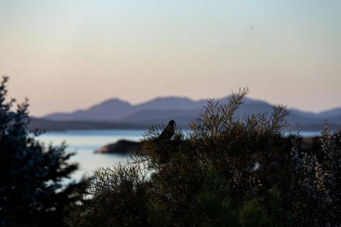 Faraway On Flinders Island - Tourism Townsville 4