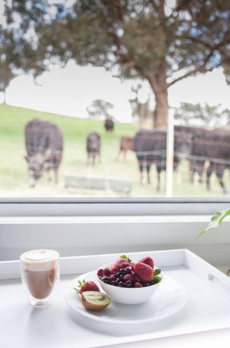 Hickey Vale Farm Lodge Pet Friendly - Tourism Townsville 2