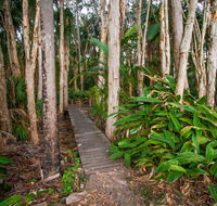 Agnes Palms Accommodation - Tourism Townsville