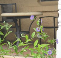 Amalie Cottage Waikerie - Tourism Townsville