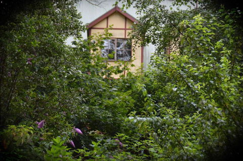 Mountain Lodge - Tourism Townsville 2