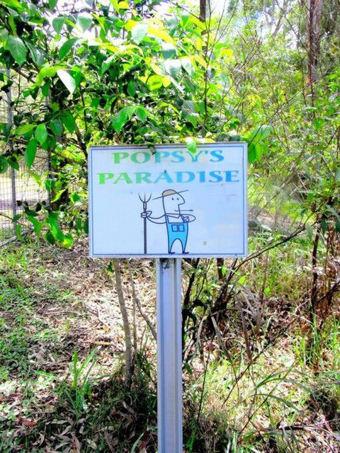 Nature Retreat & Artists Studio 90mins From Sydney - Tourism Townsville 3