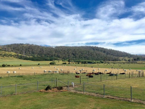 Old Entally Farm - Tourism Townsville 1