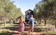Olive Grove Retreat 2 By Tiny Away - thumb 1
