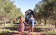 Olive Grove Retreat 2 By Tiny Away - thumb 0