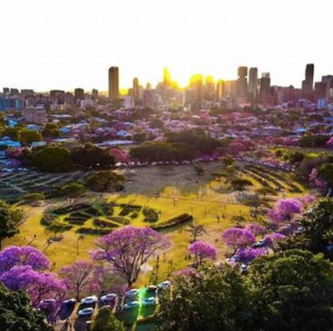 Perfect Haven In Spring Hill 2B1B And Parking - Tourism Townsville 2