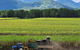 Pinnacolo Farm Stay - thumb 1