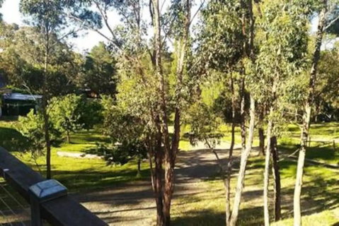 Purple House - Corner Spa, Views And Wildlife - Tourism Townsville 1