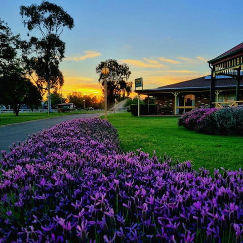 Quality Inn Carriage House - Tourism Townsville 1