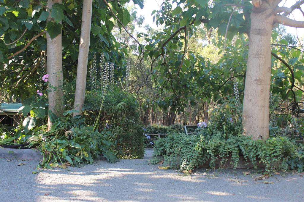 Macclesfield VIC Tourism Townsville