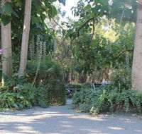 Avoca Park - Tourism Townsville