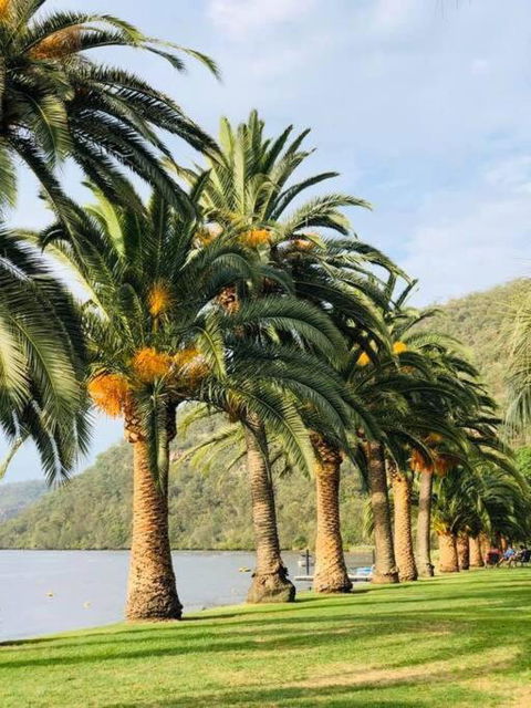 Riva On The Hawkesbury - Tourism Townsville 0