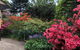 Rosettas Garden Guesthouse King Valley - thumb 3