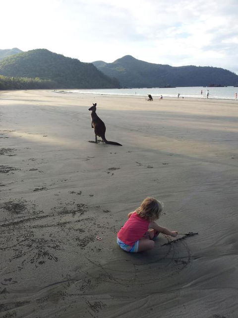 Seaforth Holiday Units - Tourism Townsville 1
