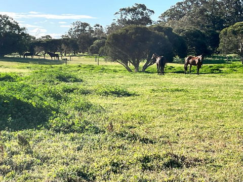 Secluded Rural Retreat In Southwest WA - Tourism Townsville 3