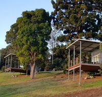 Beechmont Bean Cabins - Tourism Townsville