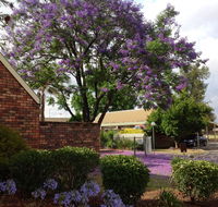 Belvoir Village Motel  Apartments Wodonga - Tourism Townsville