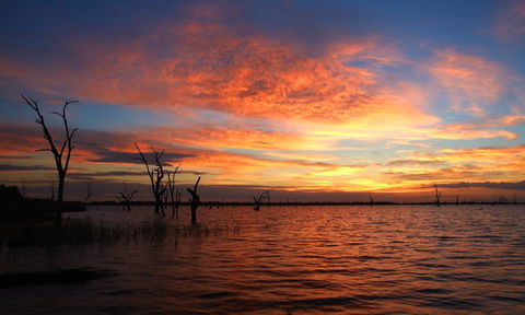 BIG4 NRMA Yarrawonga Mulwala Holiday Park - Tourism Townsville 0