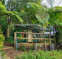 Binna Burra Rainforest Campsite - Tourism Townsville