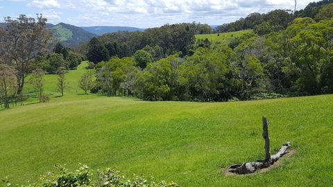 Blue Summit Cottages - Tourism Townsville 3