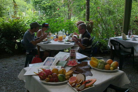 Cairns Reef And Rainforest Combo: Daintree Rainforest And The Great Barrier Reef - Tourism Townsville 3