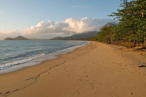 Cairns Reef And Rainforest Combo: Daintree Rainforest And The Great Barrier Reef - Tourism Townsville 4