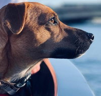 1.5-Hour Boat Rental in Melbourne - Tourism Townsville