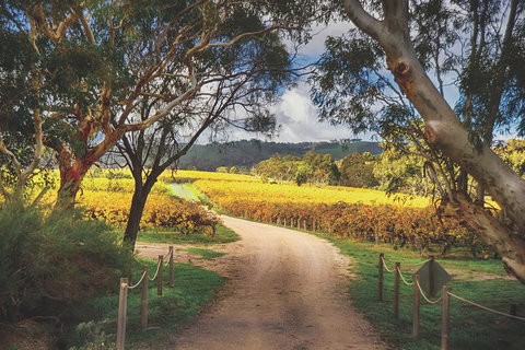 McLaren Vale Winery Small Group Tour With Wine Tasting And Lunch - Tourism Townsville 1