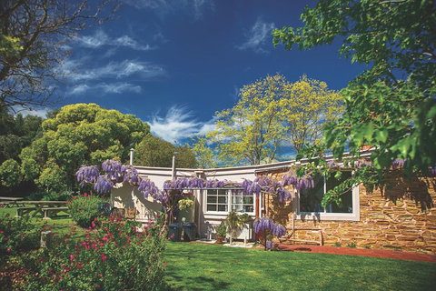 McLaren Vale Winery Small Group Tour With Wine Tasting And Lunch - Tourism Townsville 2