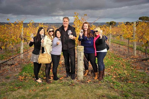 McLaren Vale Winery Small Group Tour With Wine Tasting And Lunch - Tourism Townsville 3