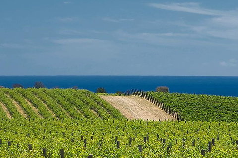 McLaren Vale Winery Small Group Tour With Wine Tasting And Lunch - Tourism Townsville 4