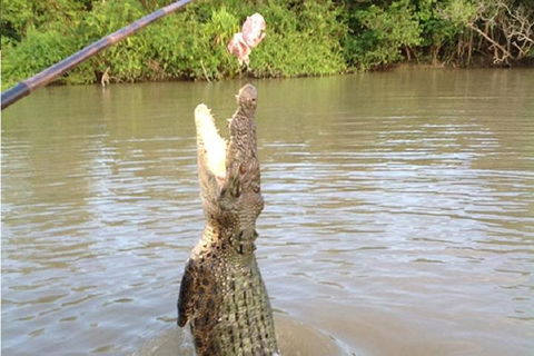 Litchfield National Park And Jumping Crocodile Cruise - Tourism Townsville 2