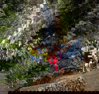 5-Day Lap of Tasmania Tour from Hobart flexible ticket - Tourism Townsville