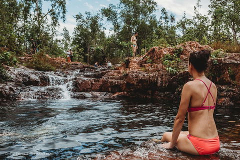 Litchfield National Park Day Tour From Darwin With Waterfalls And Buley Rockhole - Tourism Townsville 0