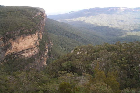 Full-Day Private Blue Mountains Tour With River Cruise - Tourism Townsville 3
