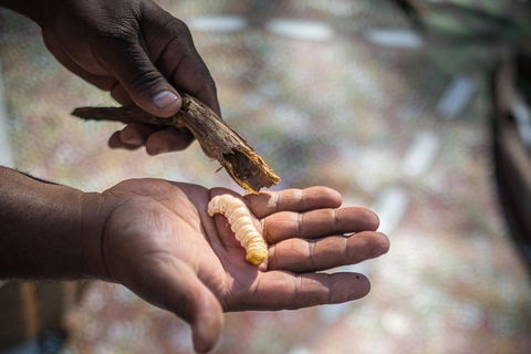 Karrke Aboriginal Cultural Experience - Tourism Townsville 3