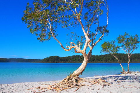 Fraser Island 4WD Tour From Rainbow Beach - Tourism Townsville 5