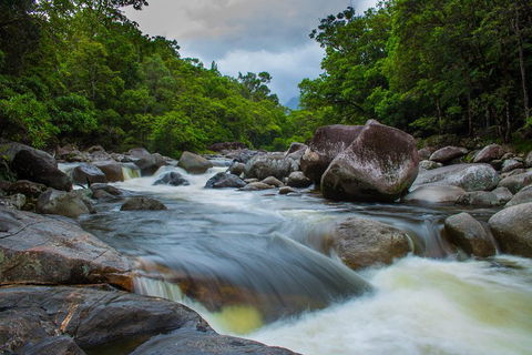 Cape Tribulation Day Tour - Tourism Townsville 0