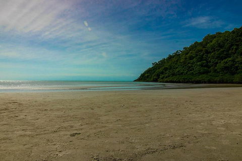Cape Tribulation Day Tour - Tourism Townsville 2