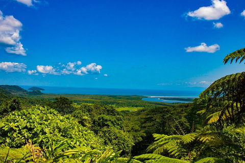 Cape Tribulation Day Tour - Tourism Townsville 3