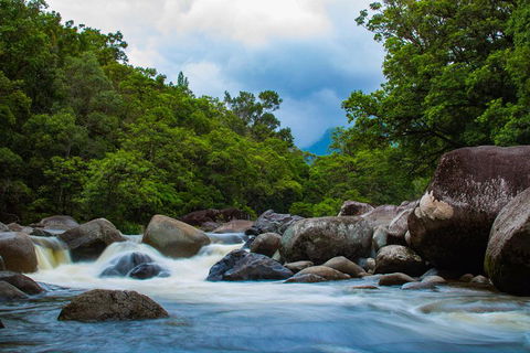 Cape Tribulation Day Tour - Tourism Townsville 4