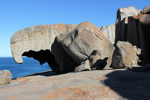 Kangaroo Island Personal Group Tours - Tourism Townsville 2