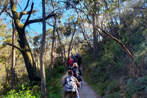 Self-Guided Waterfall Gully To Mount Lofty Hike From Adelaide - Tourism Townsville 1