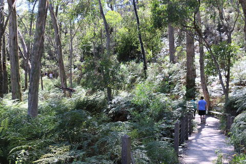 Self-Guided Waterfall Gully To Mount Lofty Hike From Adelaide - Tourism Townsville 2