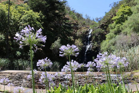 Self-Guided Waterfall Gully To Mount Lofty Hike From Adelaide - Tourism Townsville 3
