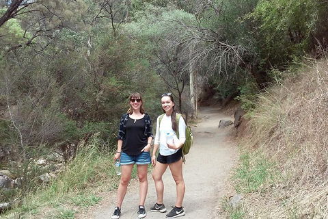 Self-Guided Waterfall Gully To Mount Lofty Hike From Adelaide - Tourism Townsville 4